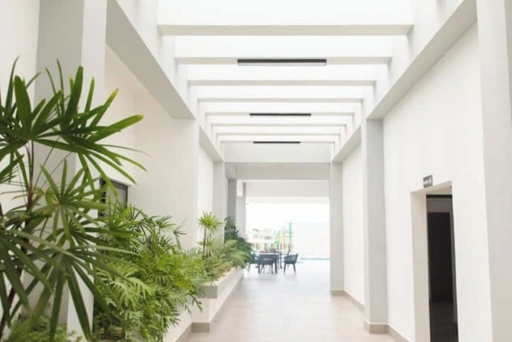 Interior moderno com um corredor longo, paredes brancas e teto com iluminação embutida. Há plantas em vasos ao longo do lado esquerdo.