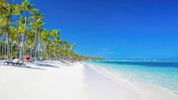 A beach with white sand and palm trees.