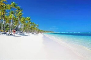 A beach with white sand and palm trees. - Resort with a pool, academy, barbecue area, and sports facilities (Punta Cana)