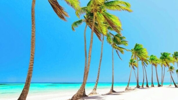 Een strand met palmbomen en helderblauw water.