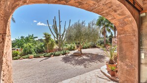 Une cour extérieure avec un chemin de gravier, des plantes en pot et un grand cactus.