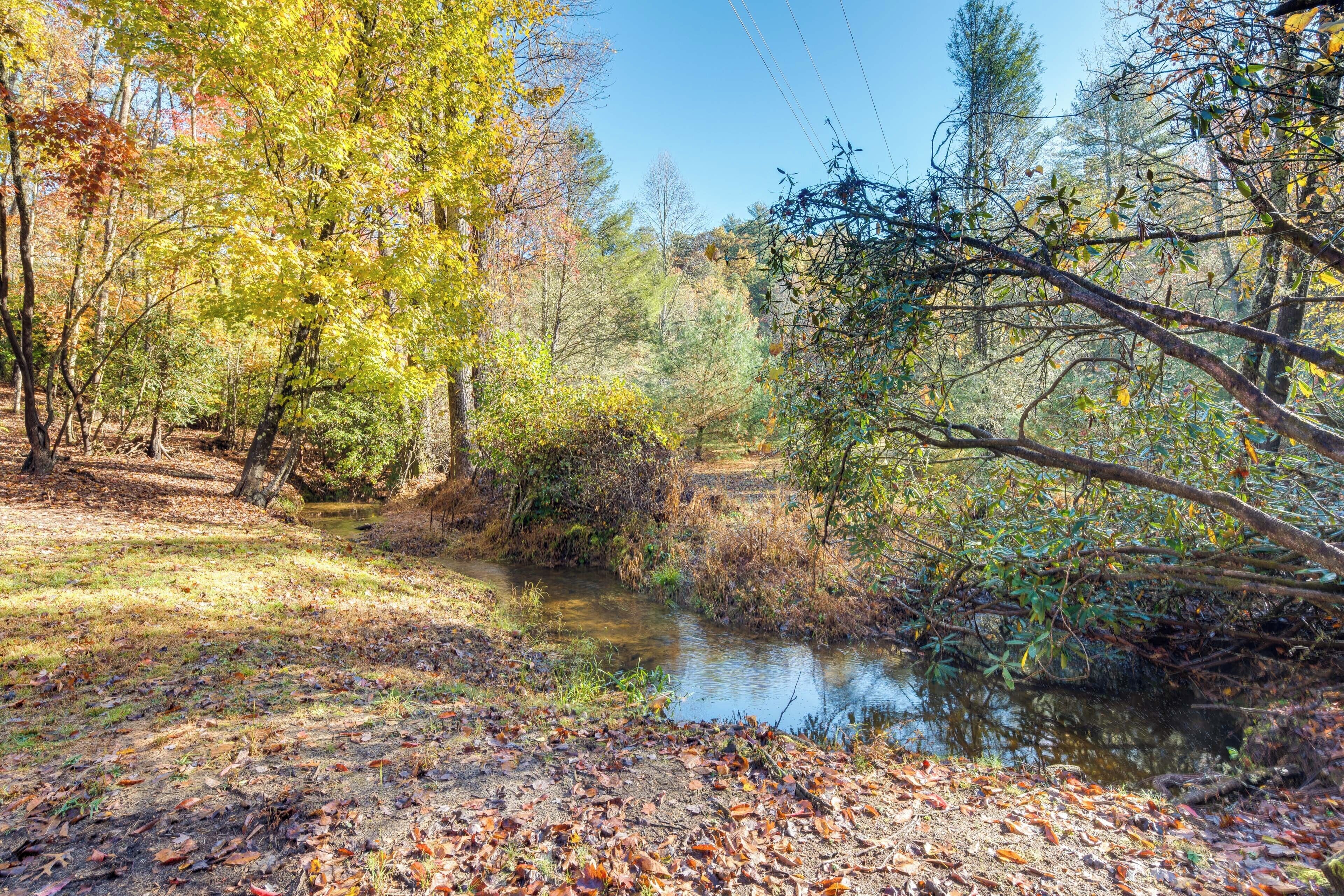 A serene forest scene with a small stream, surrounded by trees with autumn foliage.