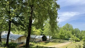 Een camping met meerdere tenten, omringd door bomen en grasvelden.