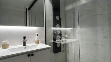 Shower, hair dryer, bidet, towels