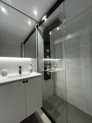 Shower, hair dryer, bidet, towels