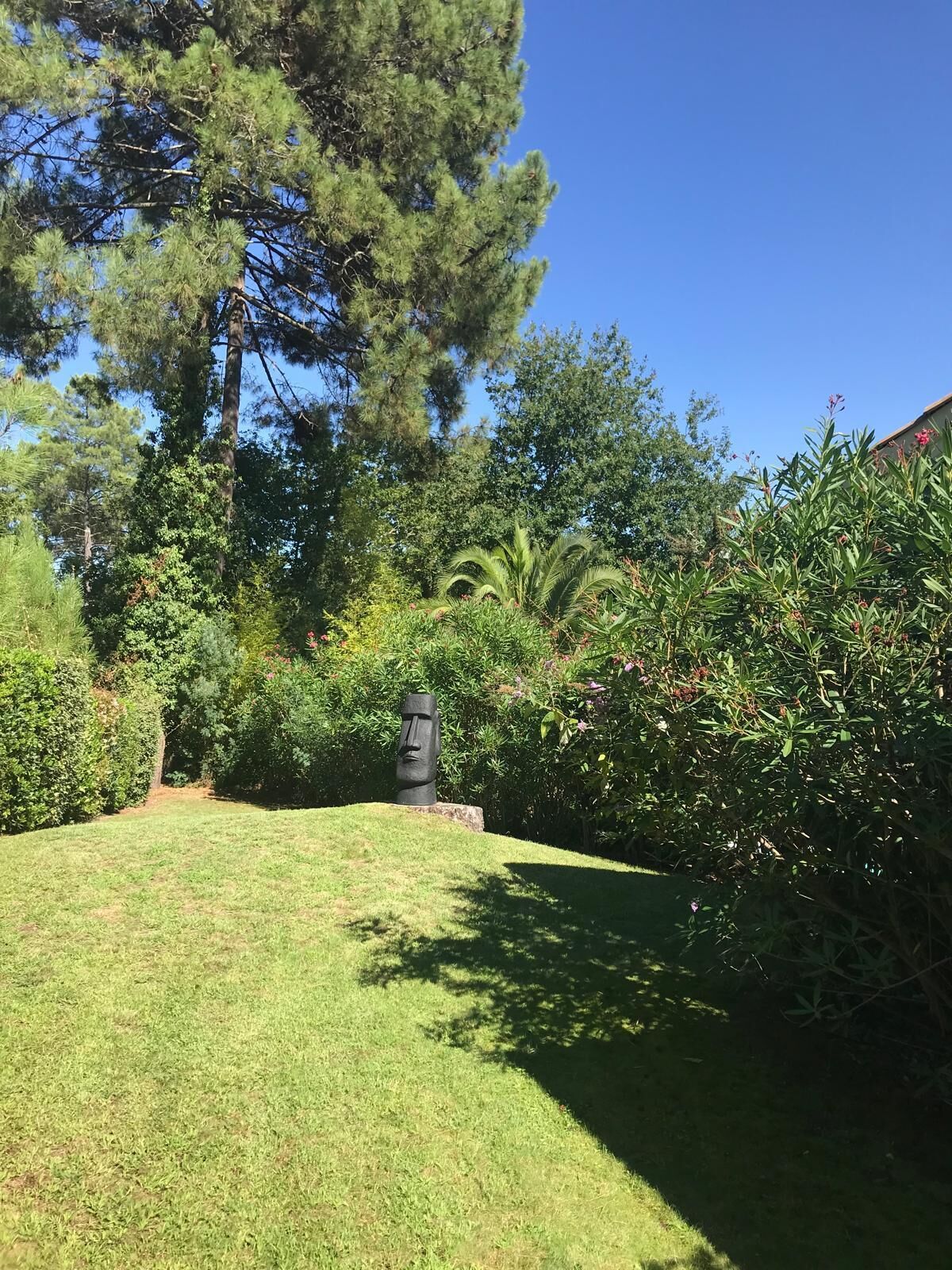 A well-maintained garden with a grassy lawn, various shrubs, and a prominent tree.