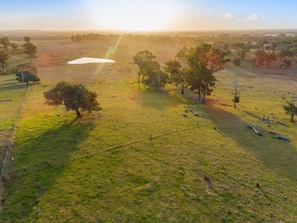 Aerial view - Country Homestead in Avenel (Avenel)