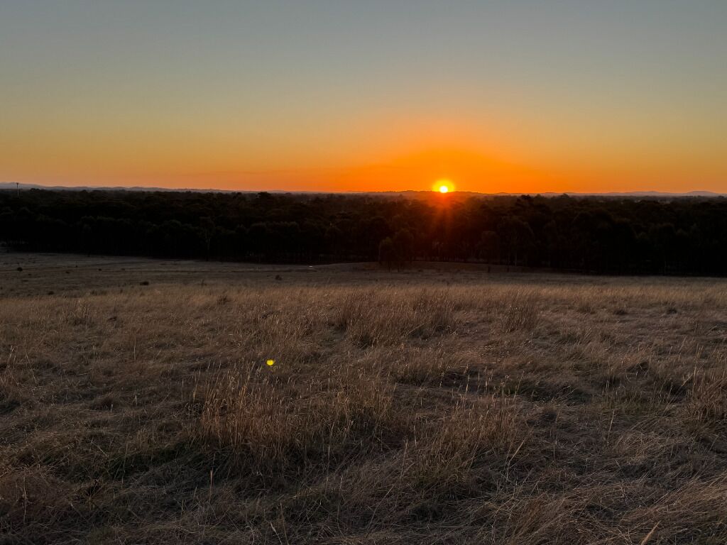 Un coucher de soleil sur un champ verdoyant, sous un ciel dégagé.