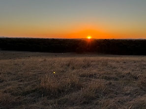 Miscellaneous - Country Homestead in Avenel (Avenel)