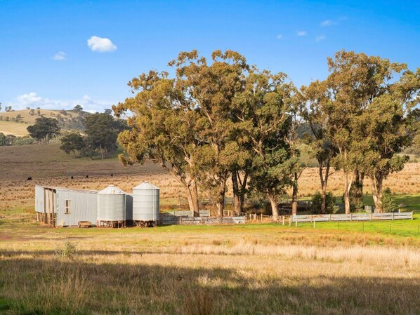 Miscellaneous - Country Homestead in Avenel (Avenel)