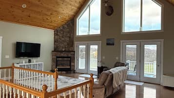 Televisión, chimenea, reproductor de DVD, libros