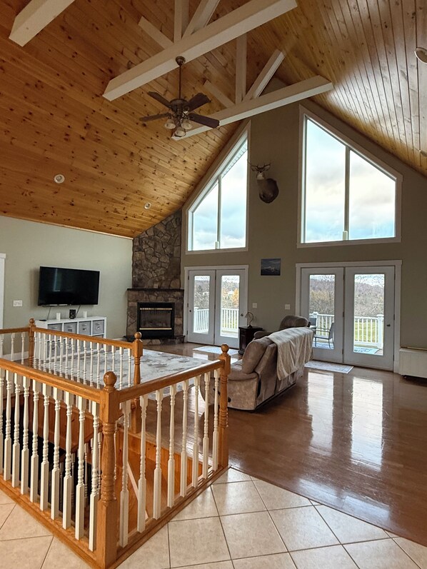 TV, fireplace, DVD player, books