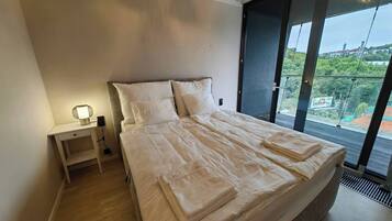 Departamento, 1 habitación, con acceso para personas discapacitadas, para fumadores | 2 habitaciones