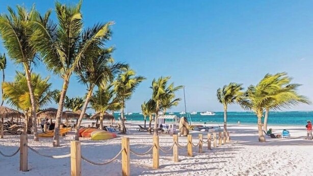 Une plage bordée de palmiers, un sentier de sable et des parasols de plage.