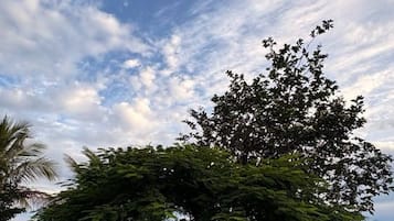 Room, 1 Bedroom, Patio, Garden View | Miscellaneous