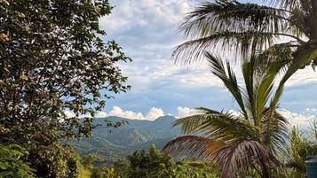 Room, 1 Bedroom, Patio, Garden View | Property grounds