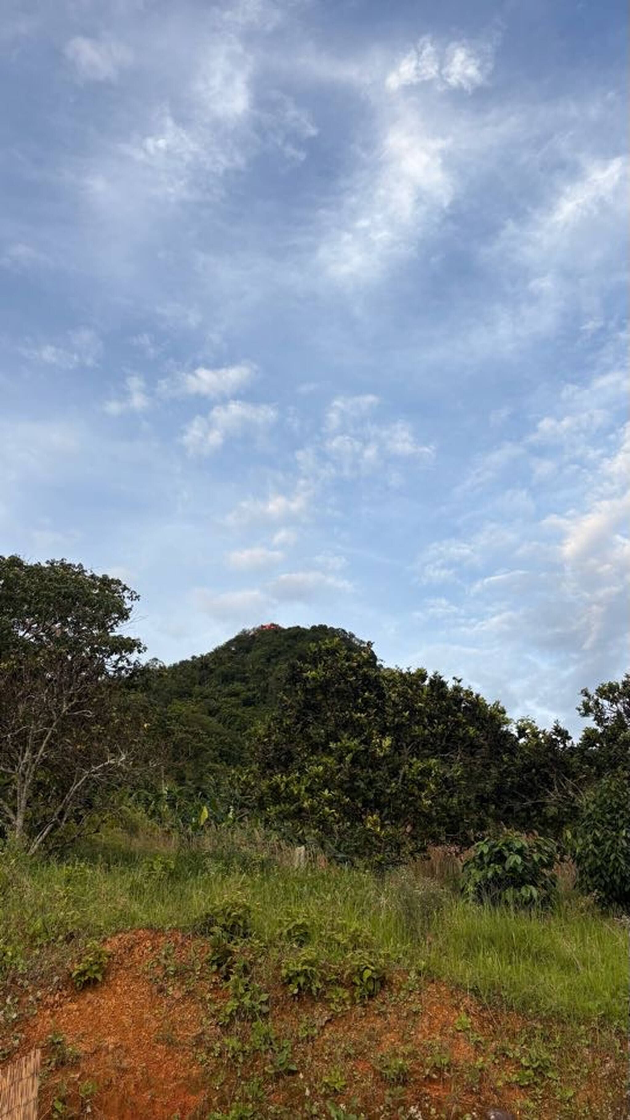 Phòng, 3 phòng ngủ, sân hiên, quang cảnh thành phố | Ngoại thất