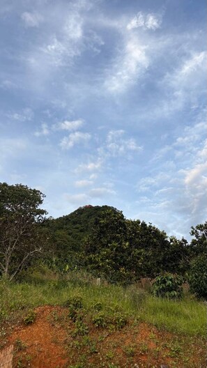 Room, 3 Bedrooms, Patio, City View | Exterior