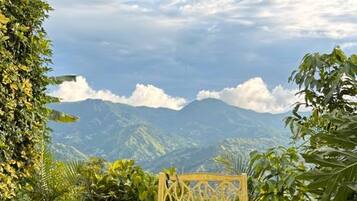 Room, 3 Bedrooms, Patio, City View | Garden