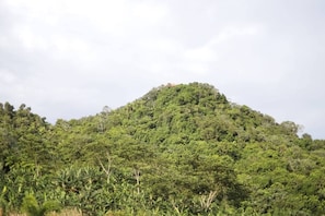 Room, 1 Bedroom, Balcony, Garden View | Exterior