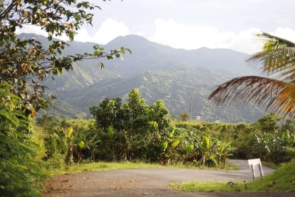 Room, 1 Bedroom, Balcony, Garden View | Property grounds