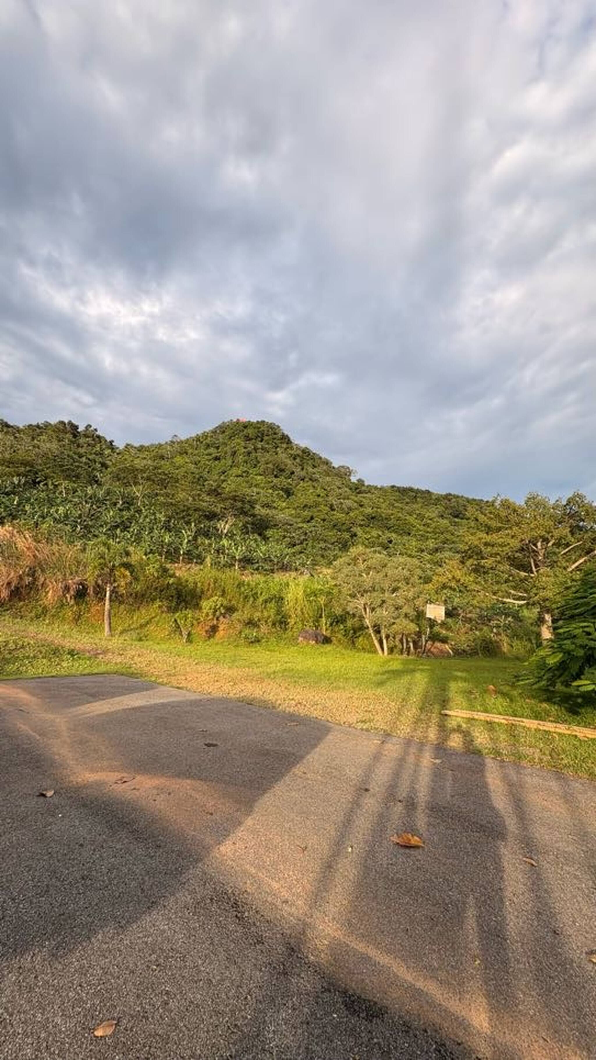 룸, 침실 1개, 발코니, 정원 전망 | 기타