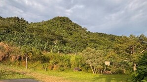 Room, 1 Bedroom, Balcony, Garden View | Miscellaneous - Room-cozy Jayuya Apartment With City, Ga (Jayuya)