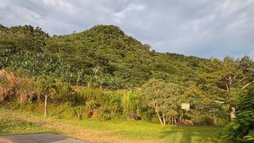 Room, 1 Bedroom, Balcony, Garden View | Miscellaneous