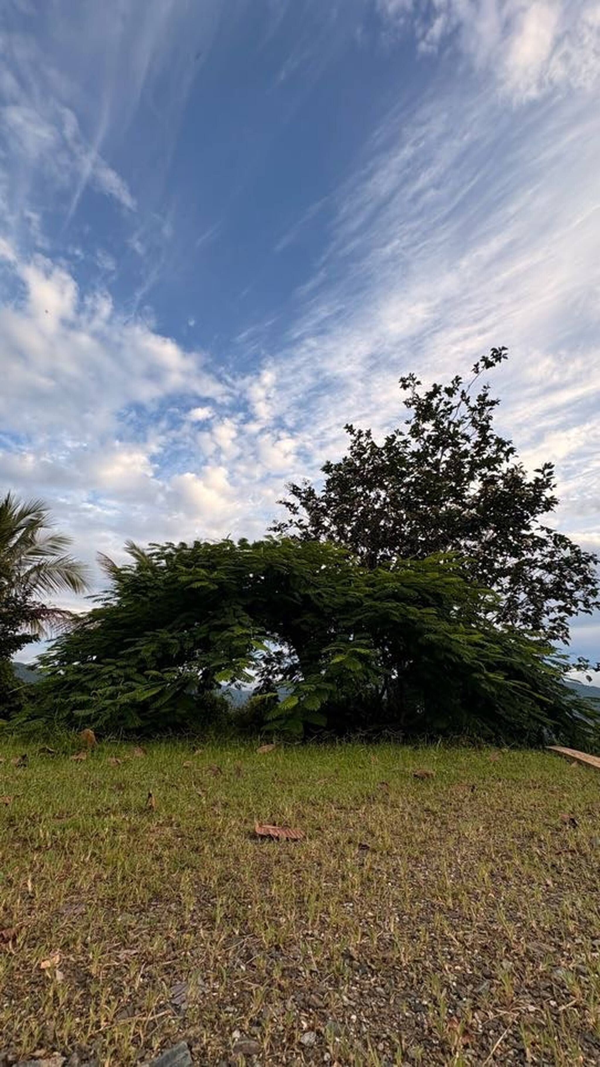 Zimmer, 1 Schlafzimmer, Balkon, Gartenblick | Verschiedenes