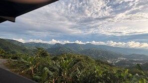 Room, 1 Bedroom, Balcony, Garden View | View from property