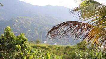 Habitación, 1 habitación, balcón, vista al jardín | Áreas de la propiedad