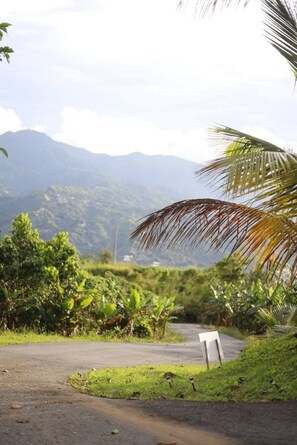 Habitación, 1 habitación, balcón, vista al jardín | Áreas de la propiedad