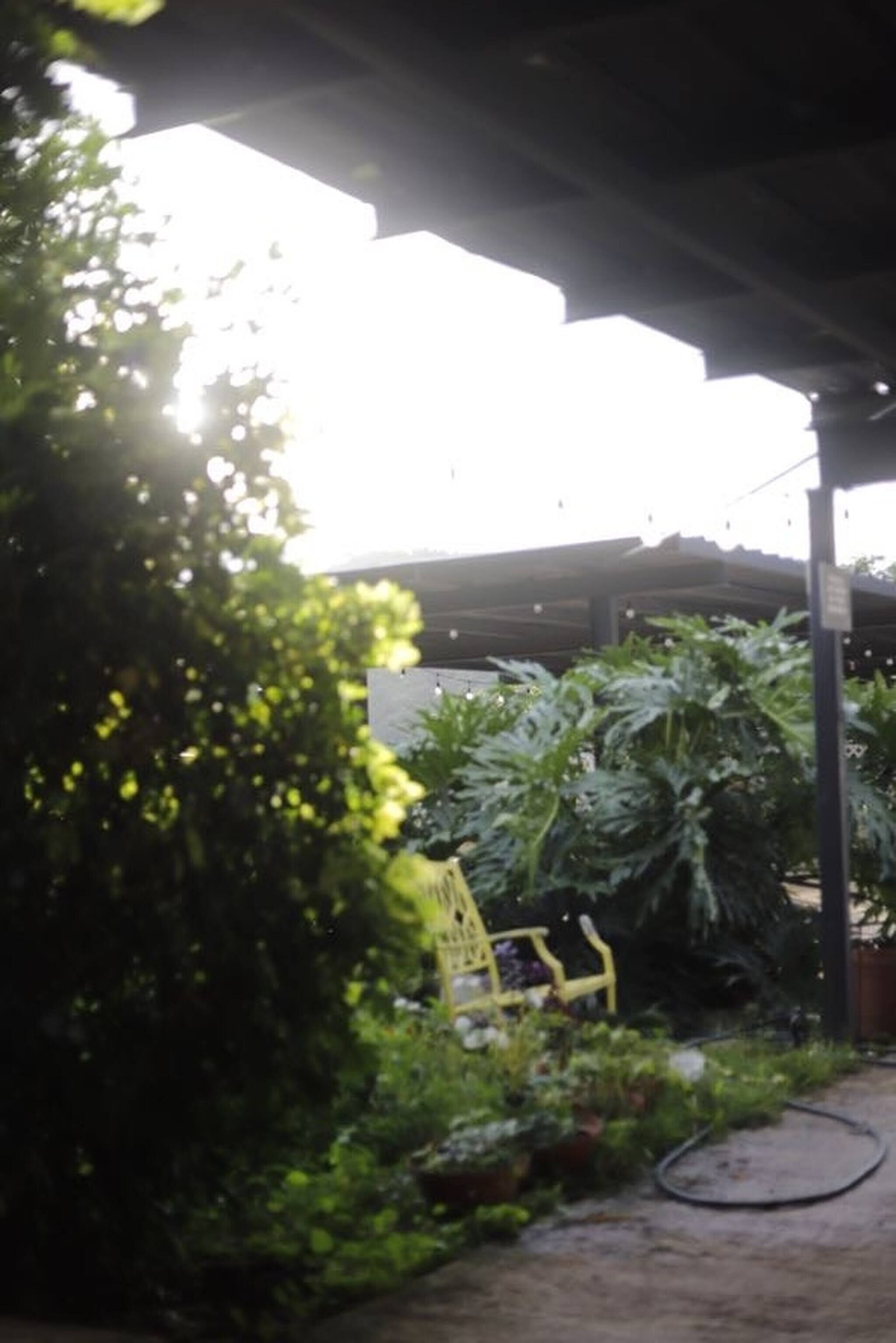 Zimmer, 1 Schlafzimmer, Balkon, Gartenblick | Garten