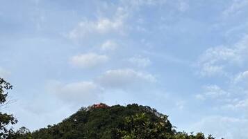 Room, 1 Bedroom, Balcony, Garden View | Exterior