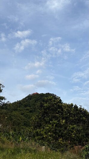 Room, 1 Bedroom, Balcony, Garden View | Exterior