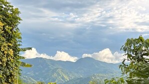 Room, 2 Bedrooms, Patio, Garden View | Garden - Room-mini Stay 4 People With Shared Pool (Jayuya)