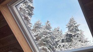 Ein Dachfenster mit Blick auf schneebedeckte Bäume.