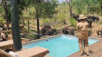 Alberca al aire libre