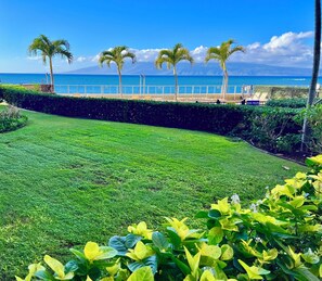 Property grounds - New Listing Oceanfront Ground-Floor Condo | Walk-Out Lanai + Pool (Lahaina)