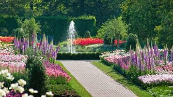 Terrein van de accommodatie