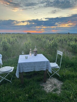 Outdoor dining - Vacqueyras: Mas L'Epicure - bright apartment with shared pool and garden (Vacqueyras)