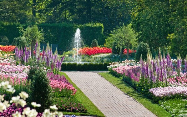 المنطقة المحيطة بالمنشأة