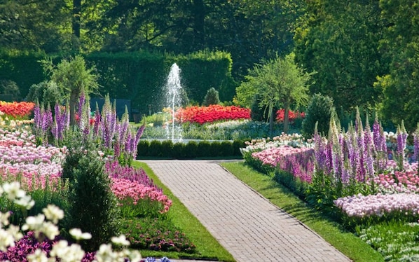 Property grounds - 2 Convenient Units w/ Breafast | Near LSU, Zoo & Mall of Louisiana & I-10 Access (Baton Rouge)