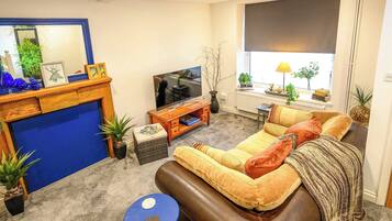 Fernseher, Arbeitsbereiche