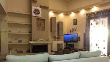 TV, fireplace, DVD player, books