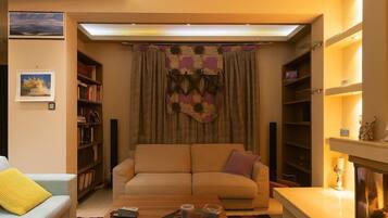 Télévision, cheminée, lecteur de DVD, livres