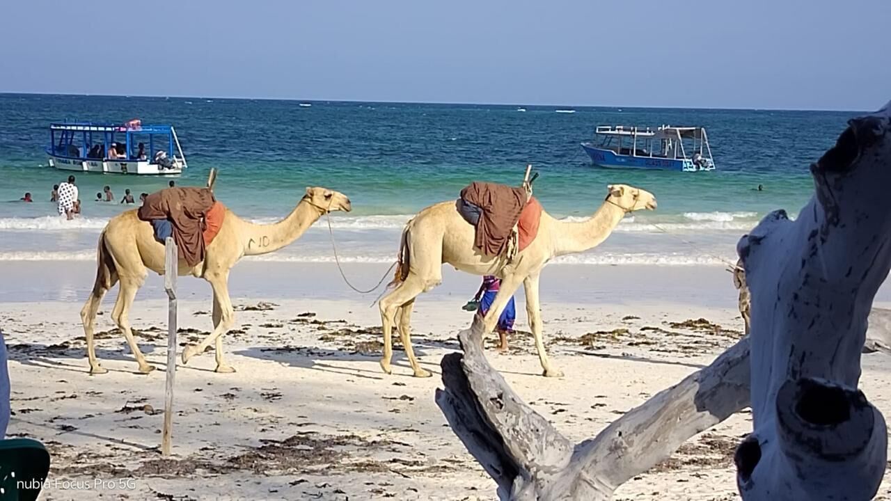 Sulla spiaggia, sabbia bianca