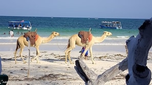 On the beach, white sand