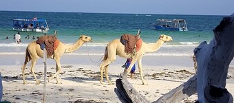 Manyatta Azure Boutique Hotel