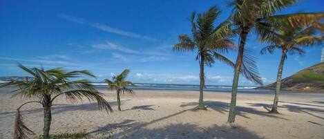 بالقرب من الشاطئ